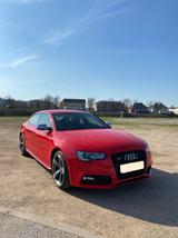 Audi S5 3.0 TFSI S tronic quattro Sportback - - Audi S5 mit Benzin-Antrieb: Limousine