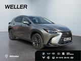 Lexus NX 450h+ E-FOUR Executive Line *AHK*Leder*360Gra - Lexus NX 450h Gebrauchtwagen