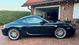 Porsche Cayman S MY08, PASM, Vollleder, Traumzustand - Porsche Cayman Gebrauchtwagen
