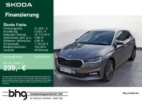 Skoda Fabia - Vorschau Bild 1