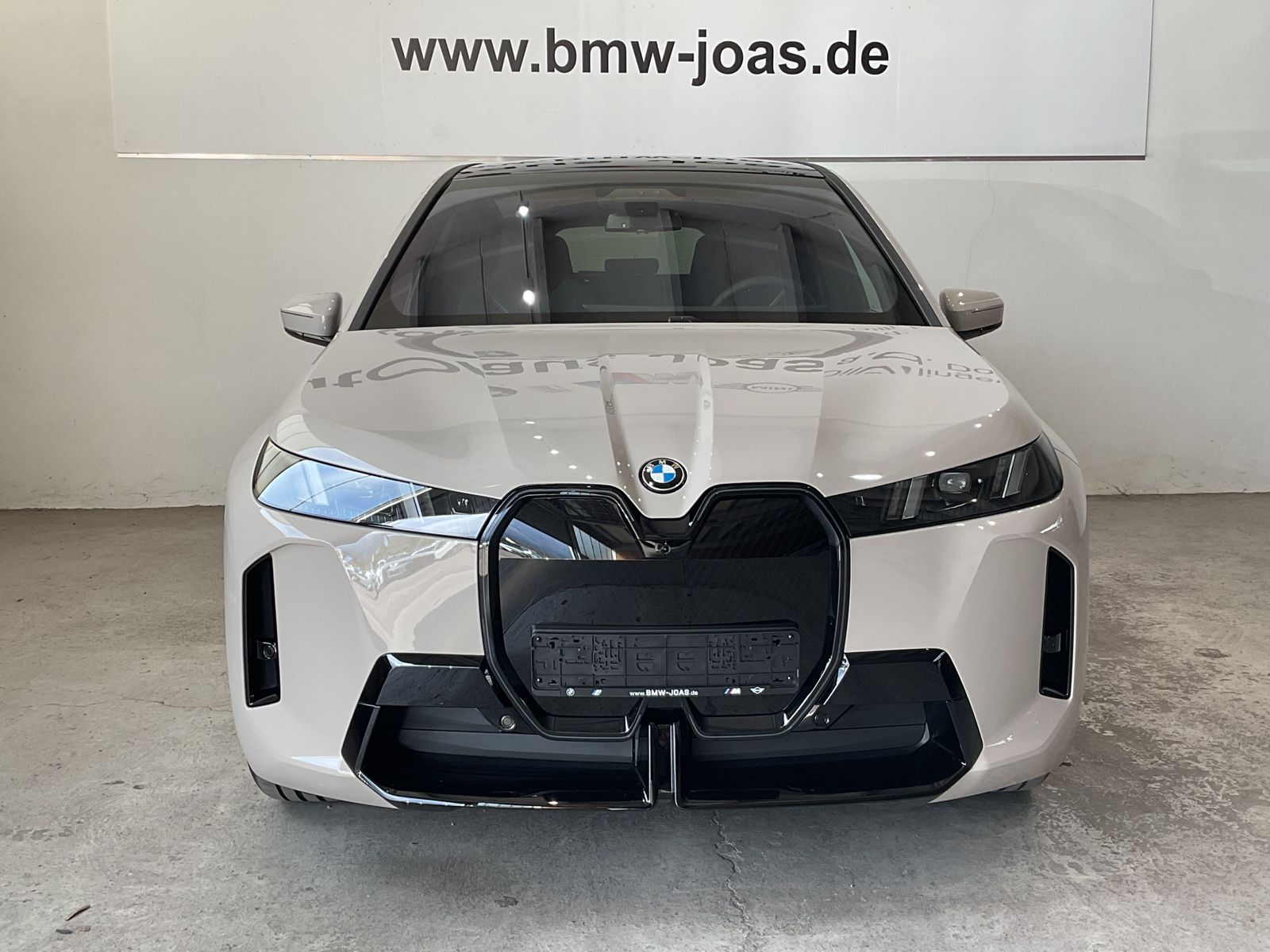 Fahrzeugabbildung BMW iX xDrive45 |Sitzbelüftung |AHK |Panoramadach