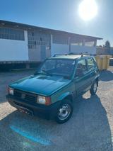 Fiat Panda 1100 i.e. cat 4x4 Trekking - gebrauchte Fiat Panda aus dem Jahr 2001