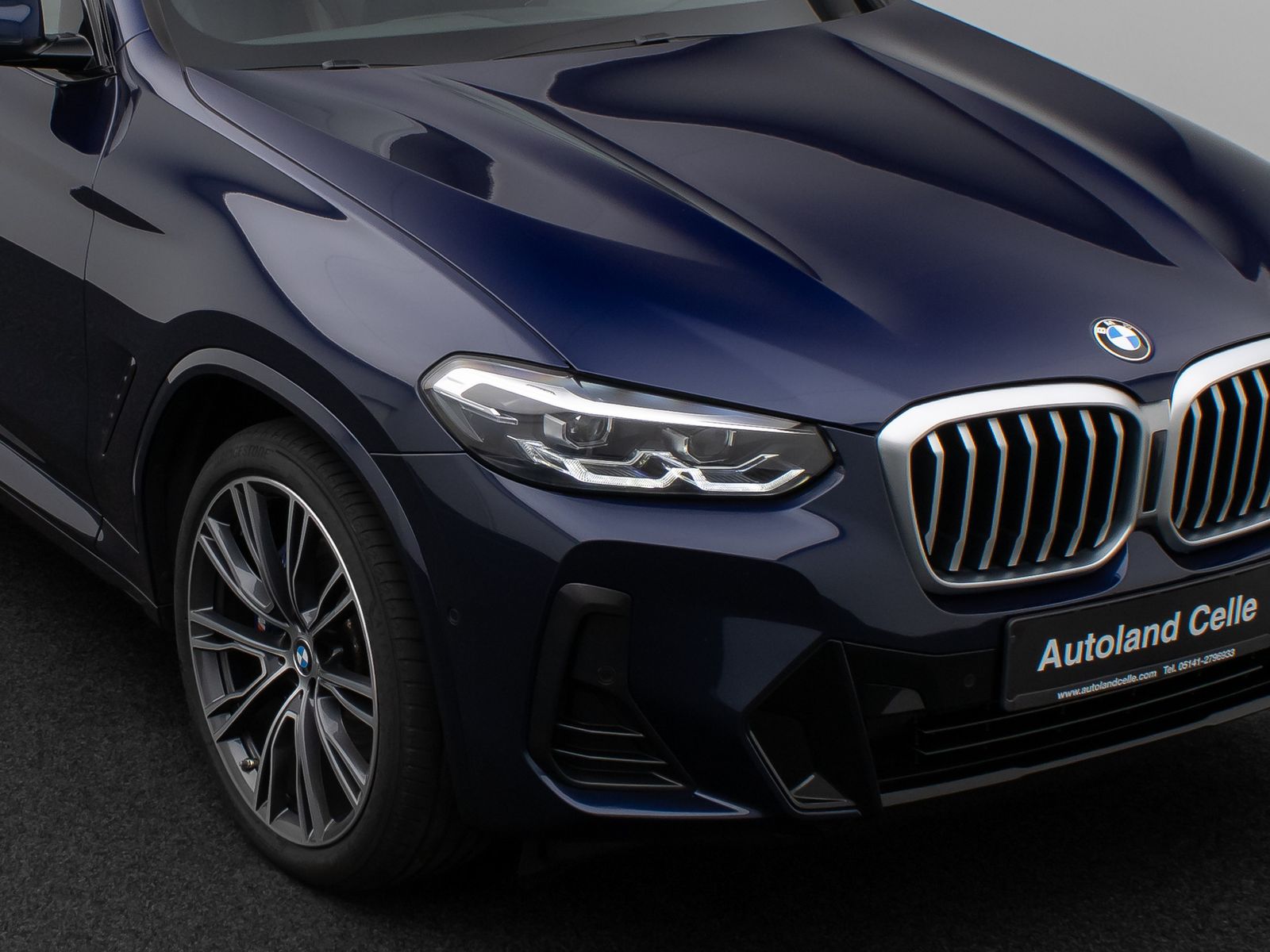 Fahrzeugabbildung BMW X3 xD30d M Sport Panorama Kamera DAB H/K 21Zoll
