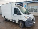 Fiat Ducato Kühlwagen - TÜV NEU - Fiat Ducato in Karlsruhe