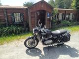Triumph T120 Bonneville, viel Zubehör - Offers