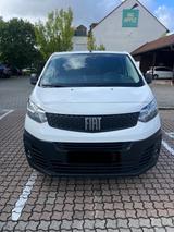 Fiat Scudo - Fiat Scudo von privat