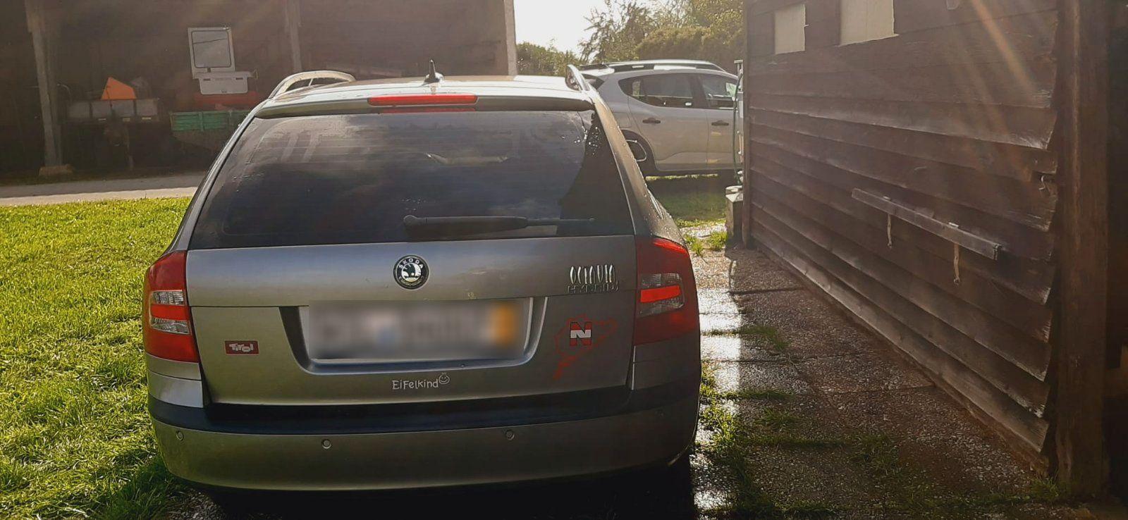 Skoda Octavia 2008 — interior