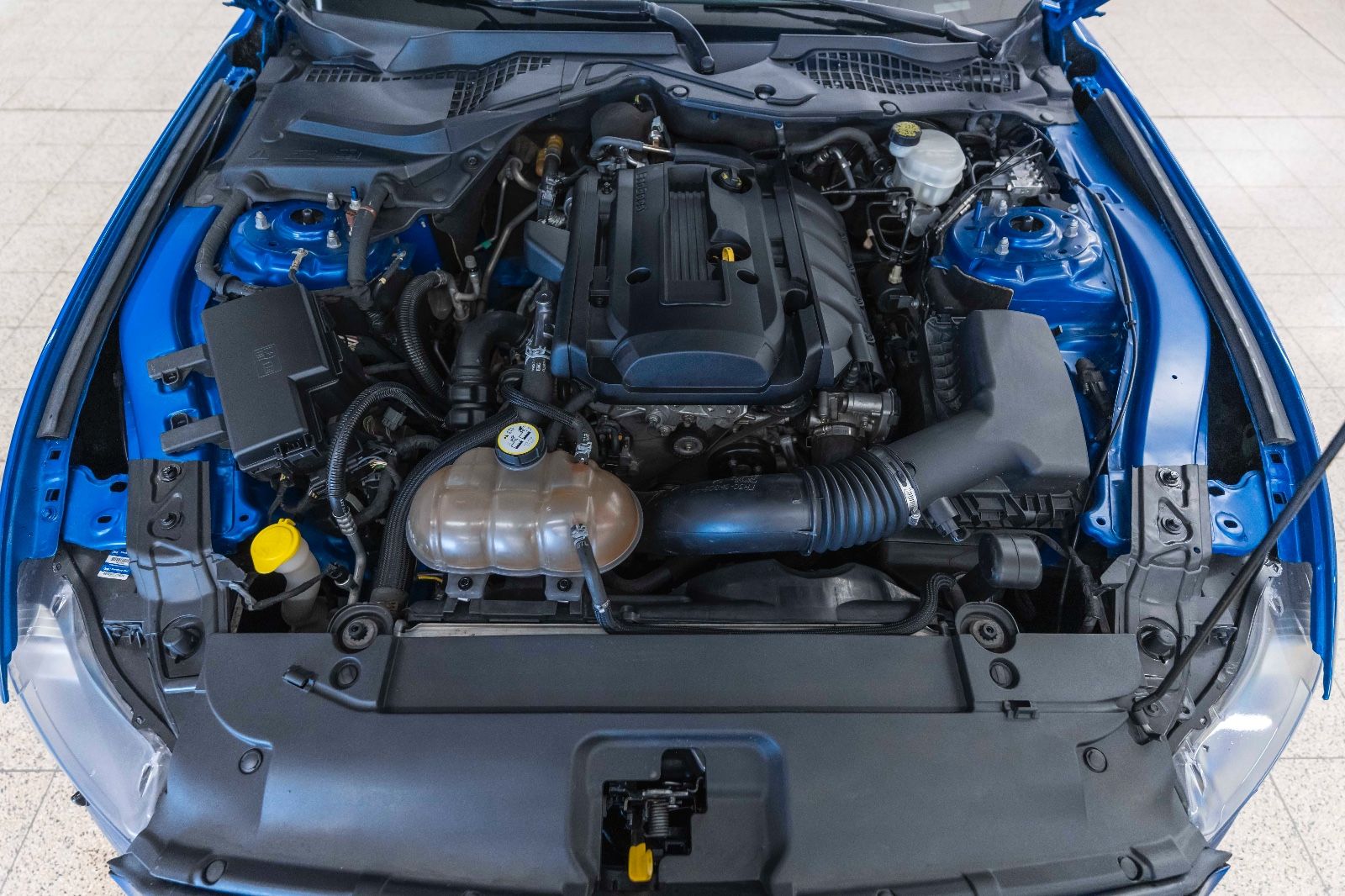 Fahrzeugabbildung Ford Mustang Ecoboost 2,3L KAM NAV LEDER Sitzh