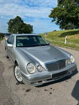 Mercedes-Benz E430 Xenon Bose W210 saubere... - Mercedes-Benz E-Klasse W210 mit Benzin-Antrieb