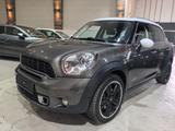 MINI COOPER S Countryman CooperS All4 Pano/Sheckheft - MINI MINI aus 2012: Countryman