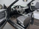 BMW 2.0 16V - BMW 1er Reihe aus 2011: Cabrio
