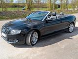 Audi A5 Cabriolet 1.8 TFSI S line Ausstattung 6-Gang - Audi Cabriolet: 1.8