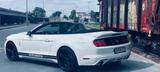 Ford Mustang 3.7 V6 US-Import mit Top Sound - Ford Mustang: Us