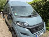 Laika ecovip 645 - Angebote