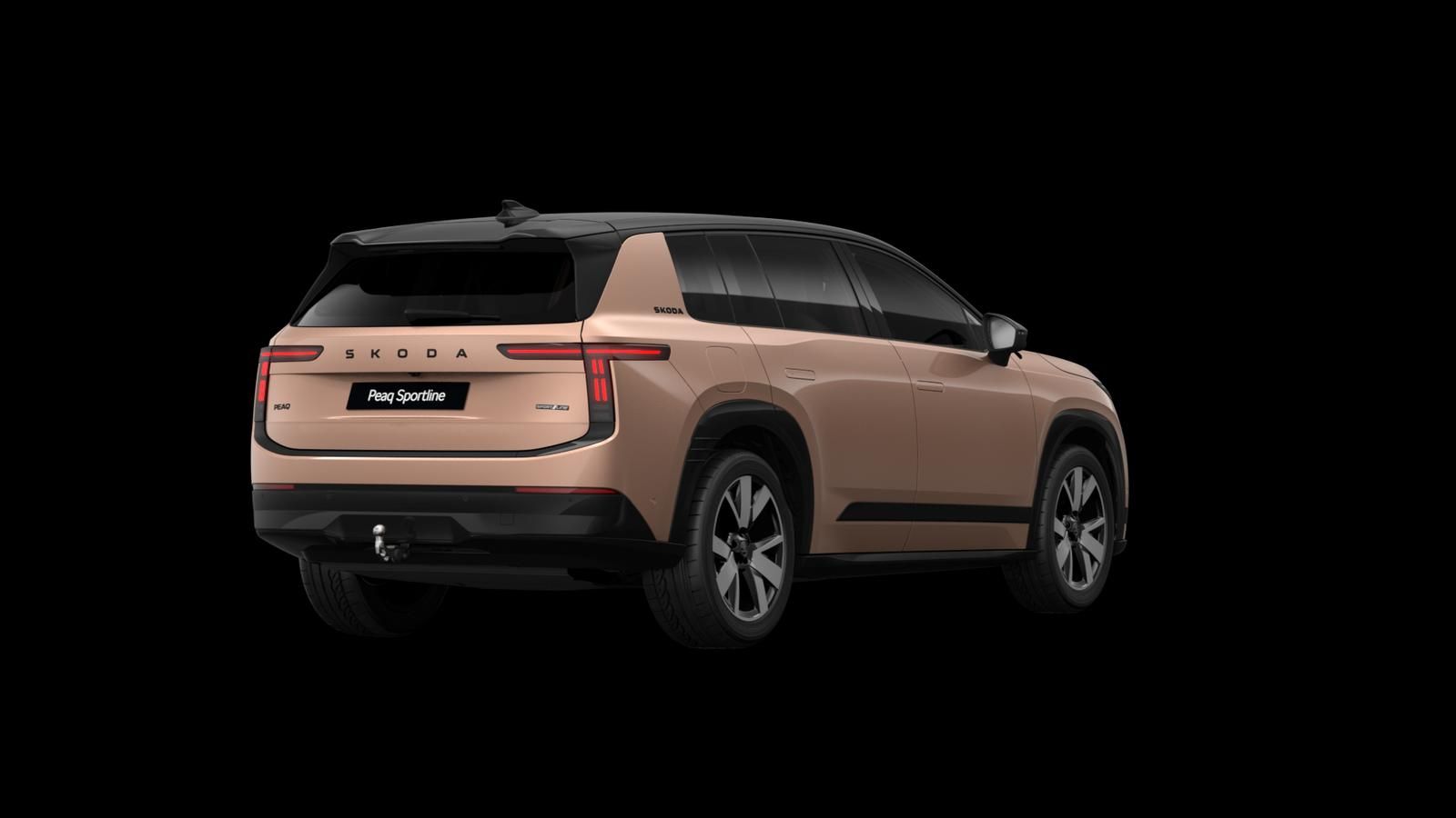 Skoda Andere - Bild 11