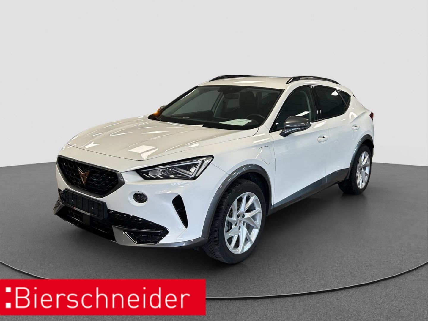 Cupra Formentor 1.4 e-Hybrid DSG RFK PDC ACC ALU