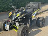 Aeon Cobra 420 SM LOF - QUAD COBRA