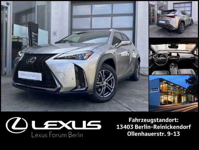 Lexus UX250h F-Sport Design * Navi * Winterräder *