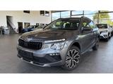 Skoda Kamiq Selection Navi Kamera El.Heckkl. Keyless L - Skoda Kamiq von 2026