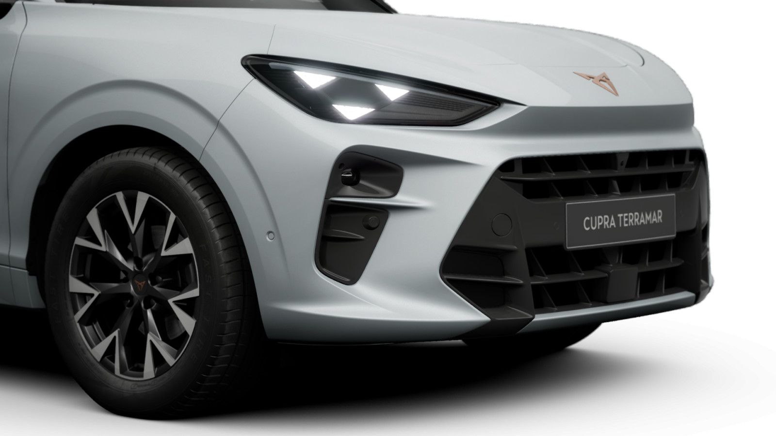 Cupra Terramar - Bild 8