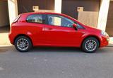 Fiat Zum Verkauf Fiat Punto EVO MyLive von Priv... - Fiat Punto Evo von privat