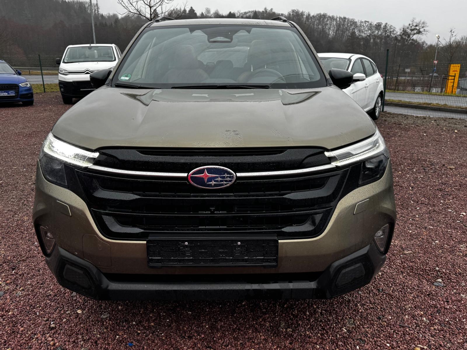 Subaru Forester 2.0 Hybrid 100 kW AWD Platinum*Pano*