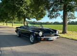 Fiat Spider 124 CS2 Oldtimer - Fiat 124 Spider aus 1981