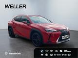 Lexus UX 250h Style Edition *Bi-LED*ACC*CAM*SHZ*CarPla - Lexus aus 2021