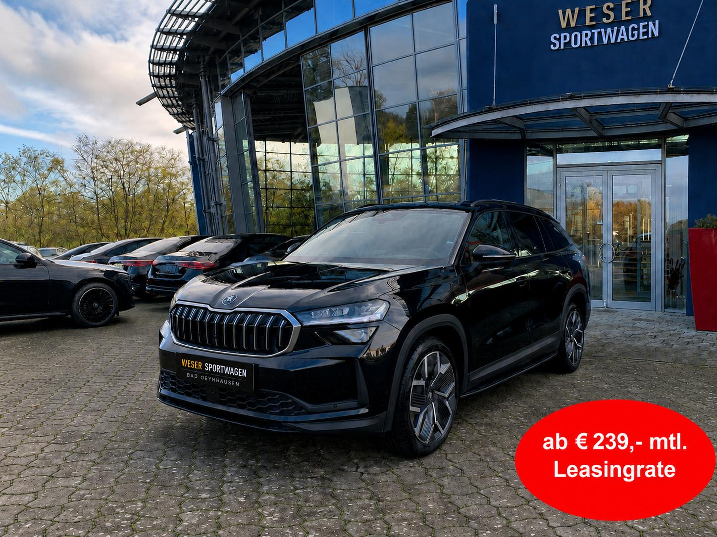 Skoda Selection 20"/Massg/*VOLL* *VOLL*VOLL*/TRITT