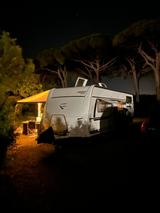 Fendt Saphir 650 SKM - Offers