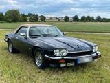 Jaguar XJS V12 Convertible Automatik - Jaguar XJS aus 1992