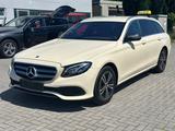 Mercedes-Benz E 220 d T Avantgarde Widesc*Tot*Multib*Ambiente - Mercedes-Benz E 220: Beige
