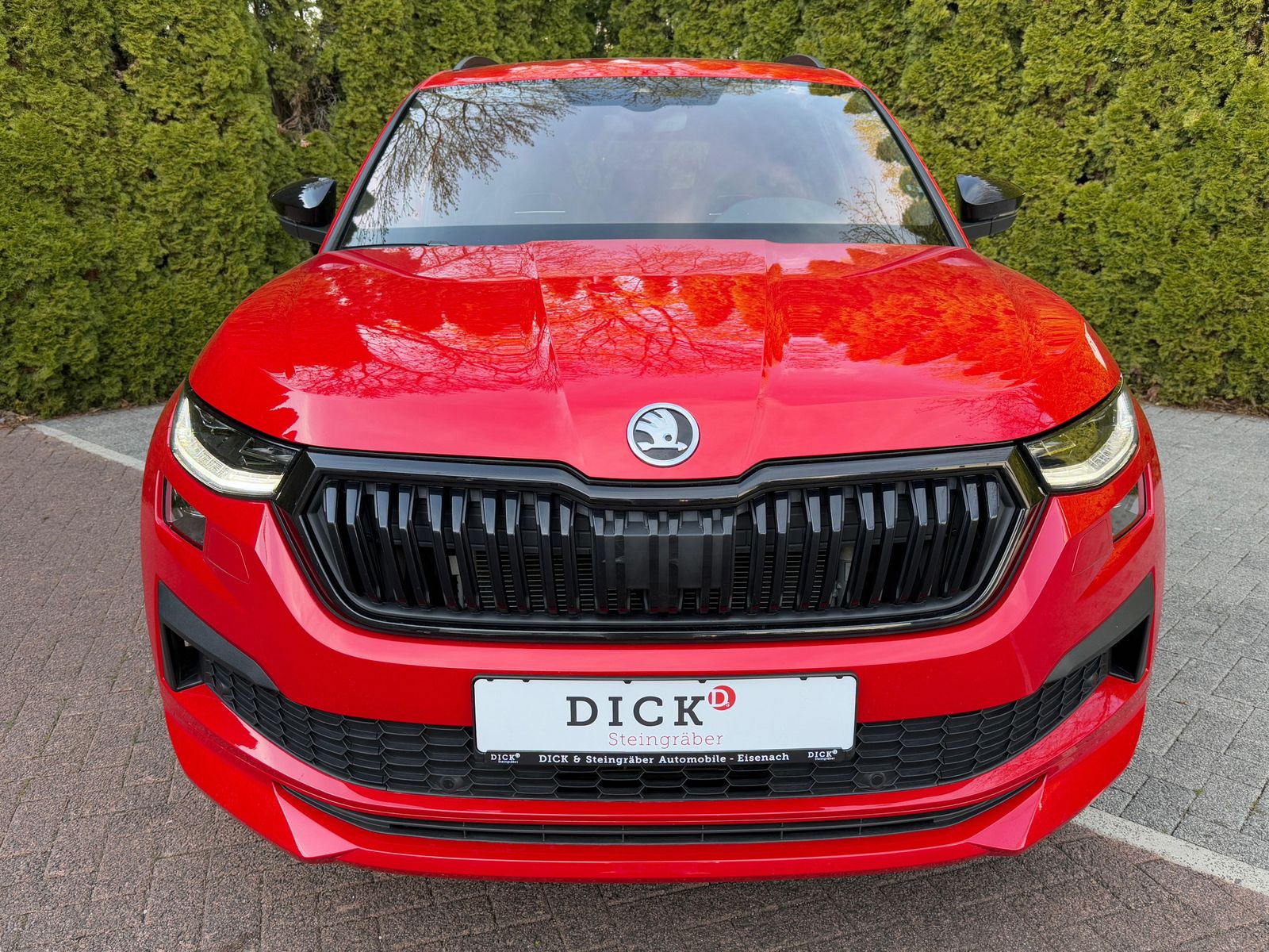Fahrzeugabbildung SKODA Kodiaq 2.0 TSI 4x4 DSG Sportline MATRIX+SHZ+KAM+