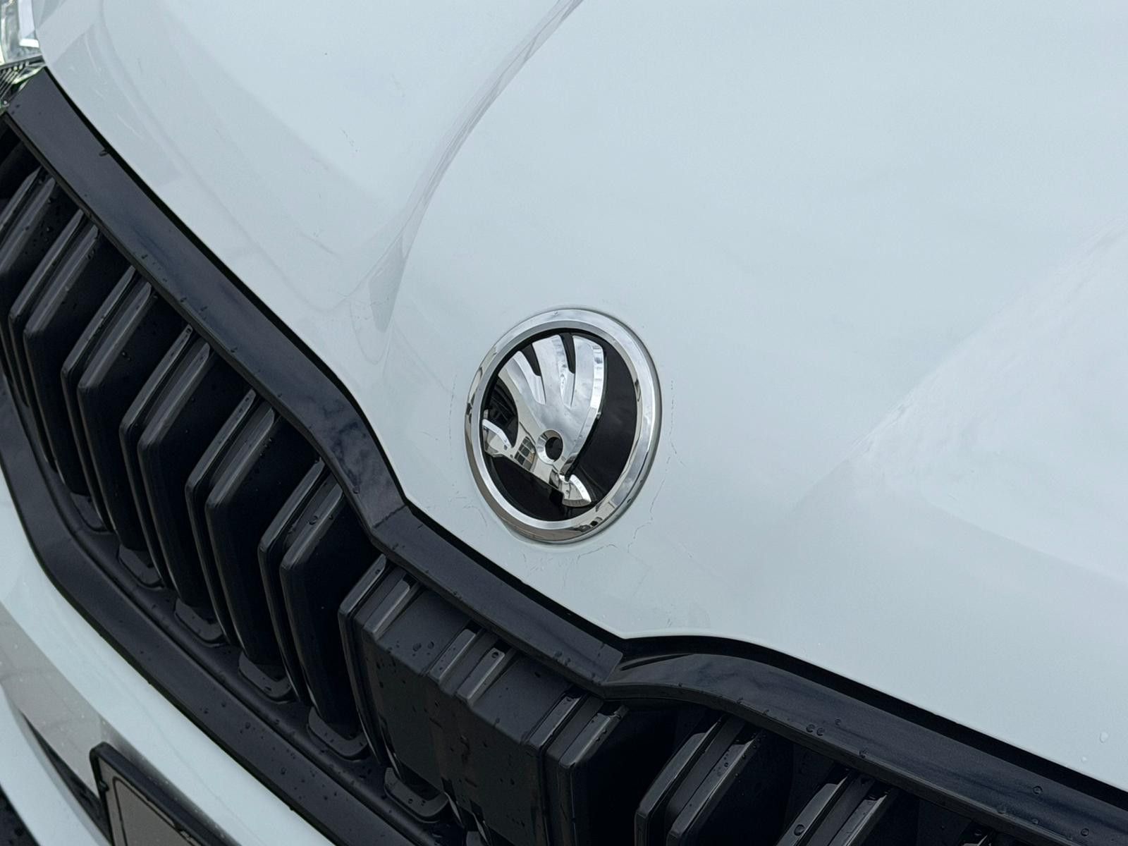 Fahrzeugabbildung SKODA Kamiq Selection