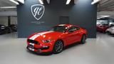 Ford Mustang Shelby GT350 * collectors item!" - Ford Mustang: Gt350