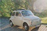 Fiat 500 F cinquecento - Fiat Cinquecento mit Benzin-Antrieb: Kleinwagen