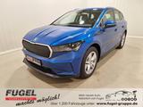 Skoda Enyaq 80 Lounge 82kWh| LED|Navi|RFK|PDC|4xSHZ - Skoda Enyaq Gebrauchtwagen