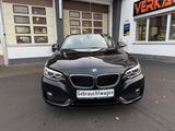 BMW 220i Cabrio Advantage Leder Navi Bi Xenon PDC SH - BMW 2er Reihe: Cabrio