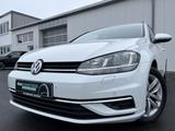 Volkswagen Golf Variant 1.6 TDI Comfortline 100€ m.20% Anz. - Volkswagen Golf: 1 6 Variant