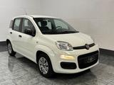 Fiat Panda Pop*8-fach*CITY - Fiat Panda: Pop
