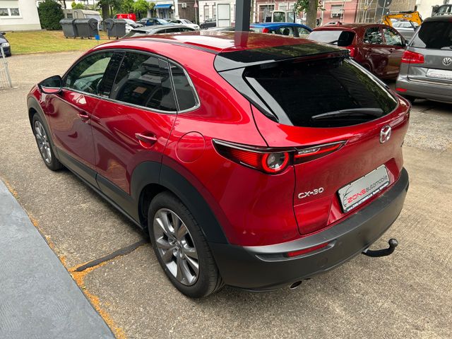 Fahrzeugabbildung Mazda CX-30 2.0+AHK+Navi+Kamera+HeadUp+CarPlay+1.Hand+