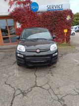 Fiat New Panda 1.2 8V EASY - Fiat New Panda Benziner Gebrauchtwagen