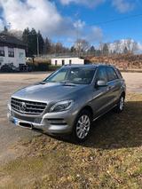 Mercedes-Benz ML 250 BlueTEC 4MATIC - - Mercedes-Benz ML 250 aus 2015