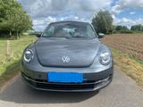 Volkswagen Beetle 1.2 TSI BMT ALLSTAR Cabriolet ALLSTAR - graue Volkswagen Beetle