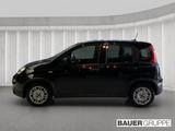 Fiat Panda Base DAB Berganfahrass. Klima BT teilb.Rüc - gebrauchte Fiat Panda aus dem Jahr 2023