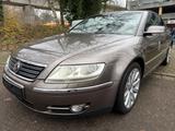 Volkswagen Phaeton V6 TDI 4Motion - gebrauchte VW Phaeton aus dem Jahr 2005