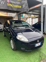 Fiat Punto Evo - graue Fiat Punto Evo