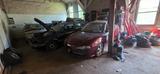 Alfa Romeo 147 1.9 JTD 16V M-Jet Progression Progression - rote Alfa Romeo 147