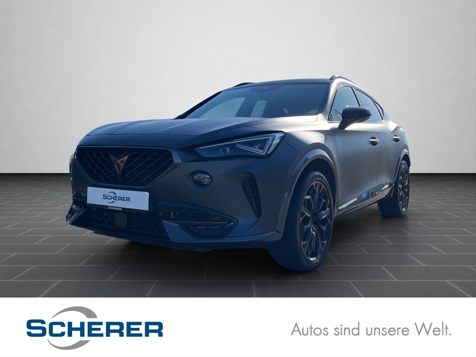 Cupra Formentor VZ 1,4 TSI eHybrid DSG | SOH 98% | 19"