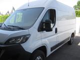 Fiat Ducato L2 H2 Transporter  - Fiat: Transporter